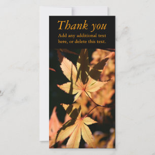 Japanese Maple 1a Autumn Colours Thank You PhotoC Card