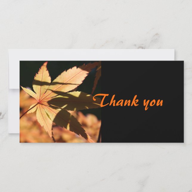Japanese Maple 1b Thank You Photo Card (Front)