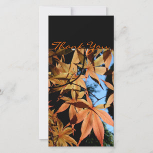 Japanese Maple 2a Thank you Photo card