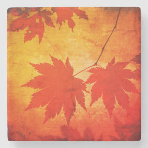 Japanese maple and script stone coaster