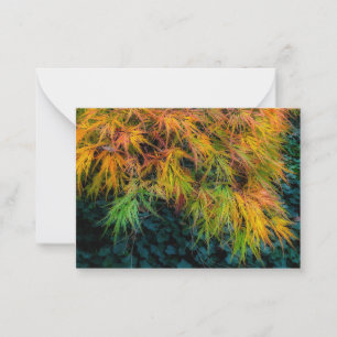 Japanese Maple Autumn Impressions Card