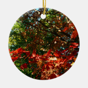 Japanese Maple, Autumn tree leaves Ceramic Tree Decoration