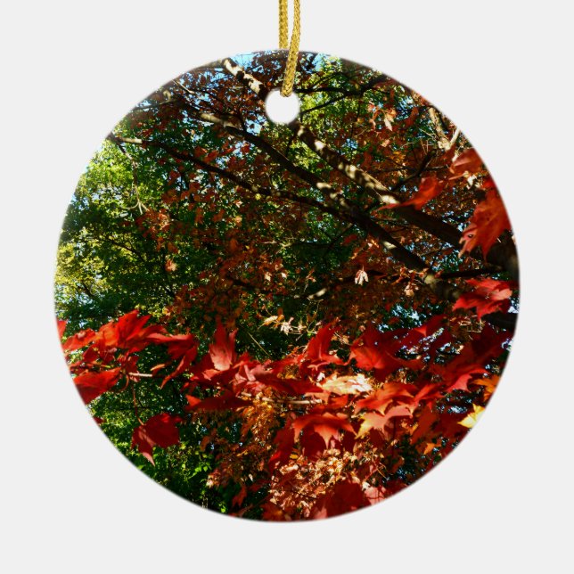 Japanese Maple, Autumn tree leaves Ceramic Tree Decoration (Front)