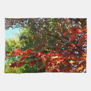 Japanese Maple, Autumn tree leaves Tea Towel