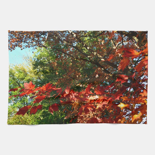 Japanese Maple, Autumn tree leaves Tea Towel (Horizontal)