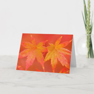 Japanese Maple Card