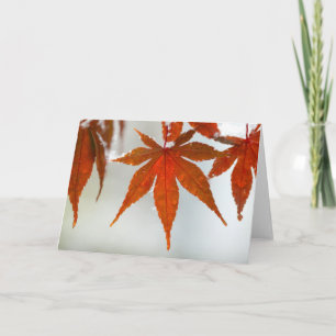 Japanese Maple-first snowflakes Holiday Card