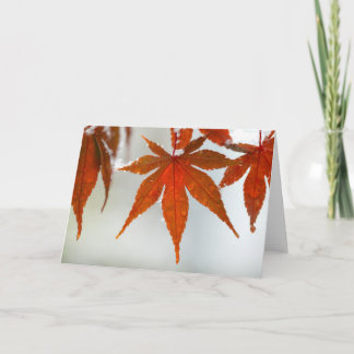 Japanese Maple-first snowflakes Holiday Card
