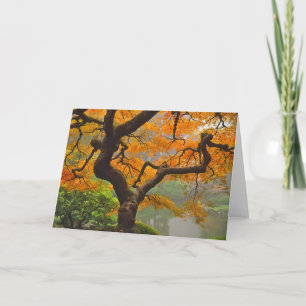 Japanese Maple Greeting Card