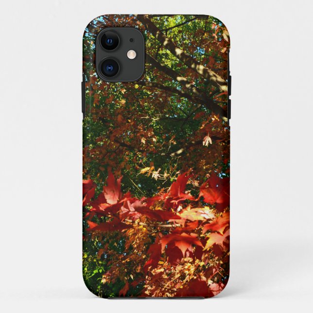 Japanese Maple in Autumn Case-Mate iPhone Case (Back)