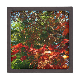 Japanese Maple in Autumn Keepsake Box