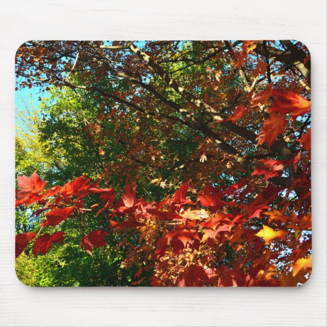 Japanese Maple in Autumn Mouse Mat (Front)