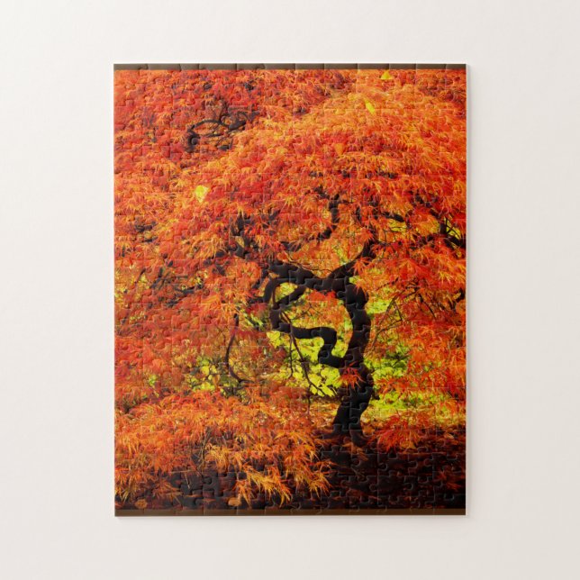 Japanese Maple in Fall Autumn Orange Challenging Jigsaw Puzzle (Vertical)