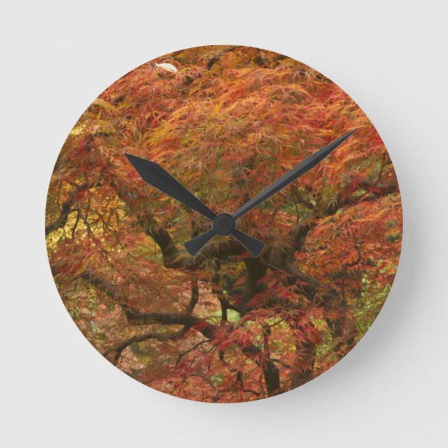 Japanese maple in fall color round clock (Front)