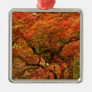 Japanese maple in fall colour metal tree decoration