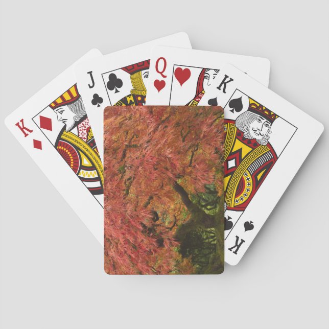 Japanese maple in fall colour playing cards (Back)