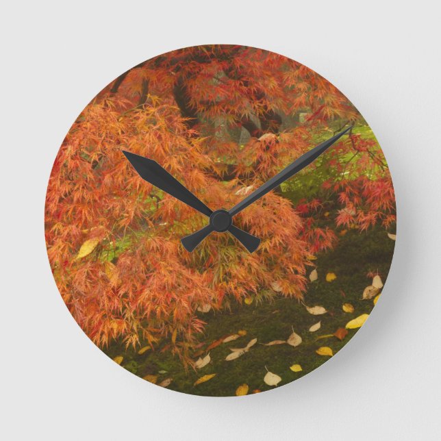 Japanese maple in fall colour round clock (Front)