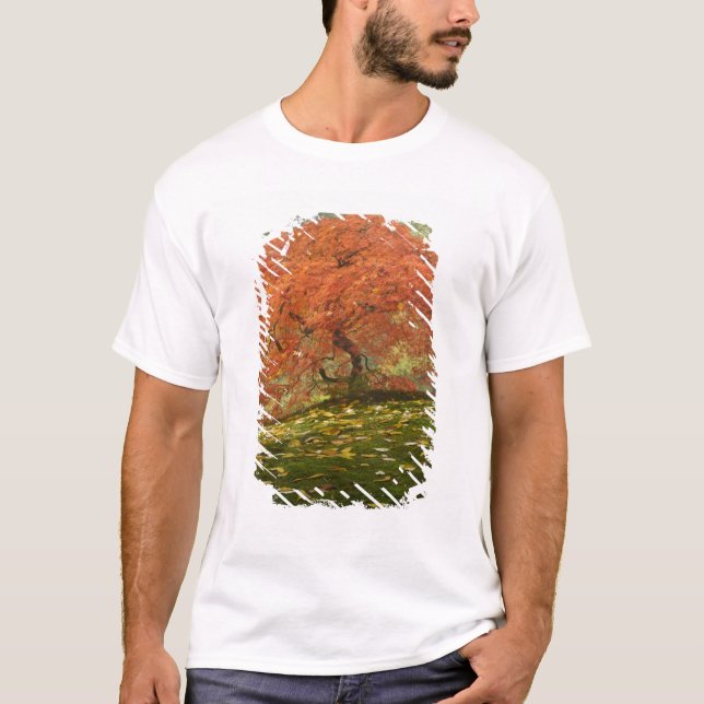 Japanese maple in fall colour T-Shirt (Front)