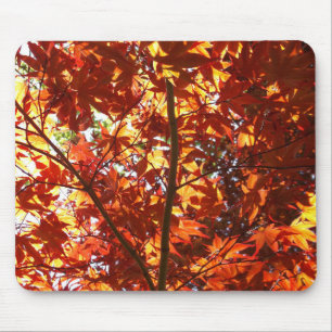 Japanese Maple in the Sun Mouse Mat