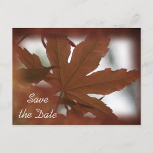 Japanese Maple Leaf Fall Wedding Save the Date Announcement Postcard