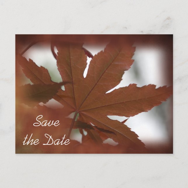 Japanese Maple Leaf Fall Wedding Save the Date Announcement Postcard (Front)