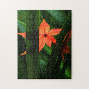 Japanese Maple Leaf Jigsaw Puzzle