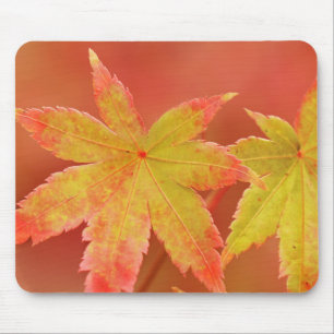 Japanese Maple Leaf Mouse Mat