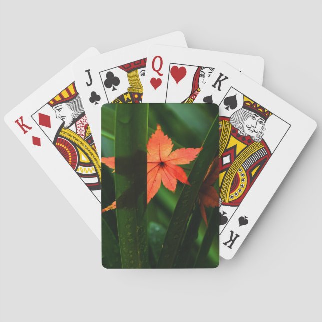 Japanese Maple Leaf Playing Cards (Back)
