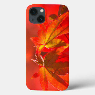 Japanese Maple Leaves iPhone 13 Case