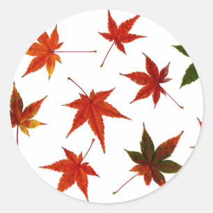Japanese Maple Leaves Classic Round Sticker