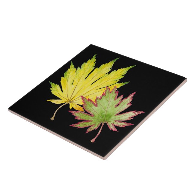 Japanese Maple on a Ceramic Tile (1) (Side)