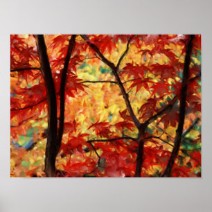 Japanese Maple Poster