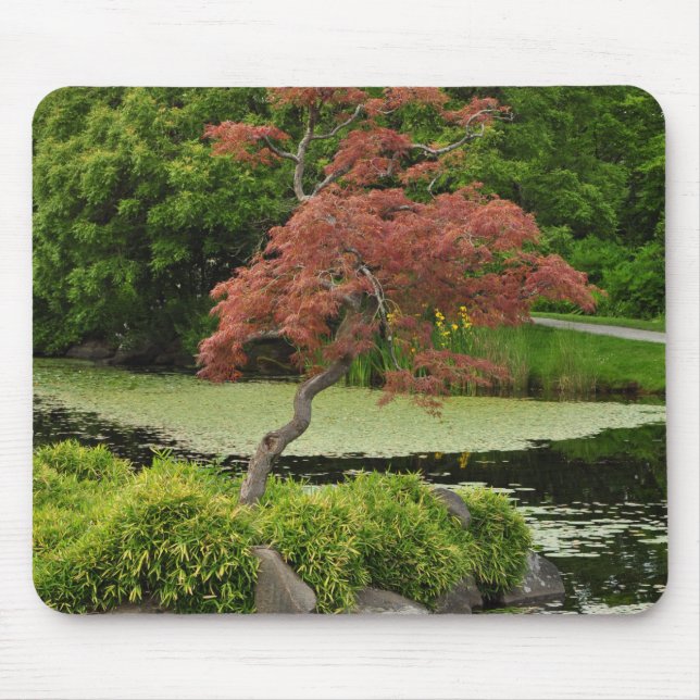 Japanese maple tree and garden pond mouse mat (Front)
