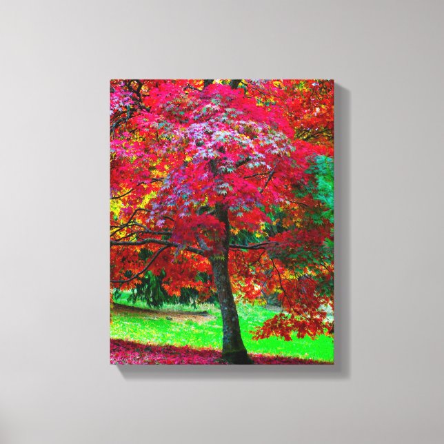 Japanese Maple Tree Canvas print (Front)