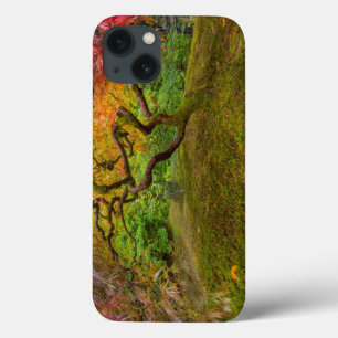 Japanese maple tree in autumn colour iPhone 13 case