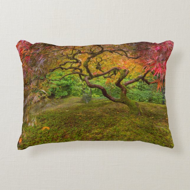 Japanese maple tree in autumn colour decorative cushion (Front)