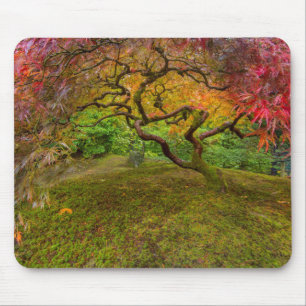 Japanese maple tree in autumn colour mouse mat