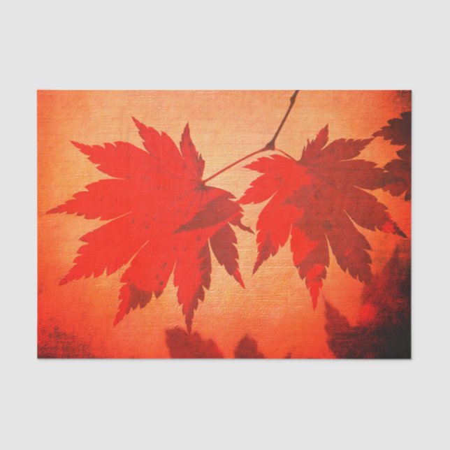 Japanese maple tree leaf and script fall orange tissue paper (Front)