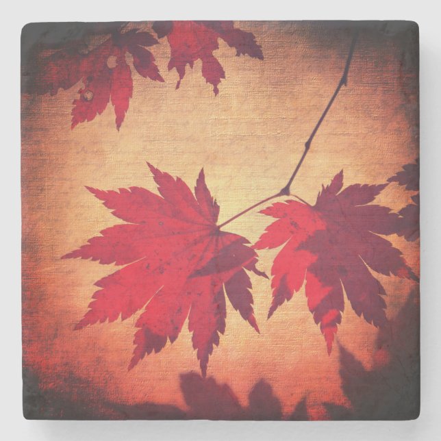Japanese maple tree leaf script fall red orange  stone coaster (Front)