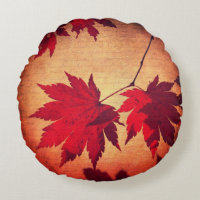 Japanese maple tree leaves and script fall