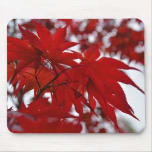 Japanese Maple Tree Mouse Mat