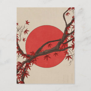 Japanese Maple Tree Postcard
