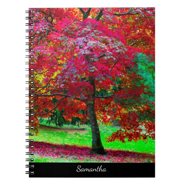Japanese Maple Tree Spiral notebook (Front)