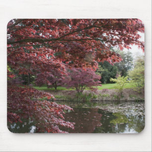 Japanese maple trees in Van Dusen Botanical Garden Mouse Mat