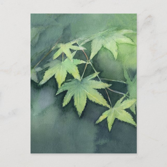 Japanese Maple Watercolor Postcard (Front)