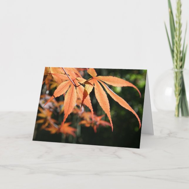 Japanese Maples (7) Holiday Card (Front)