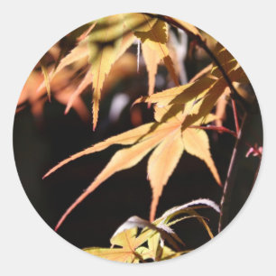 Japanese Maples 8 Round Sticker