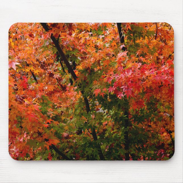 Japanese Maples in Fall Mouse Mat (Front)