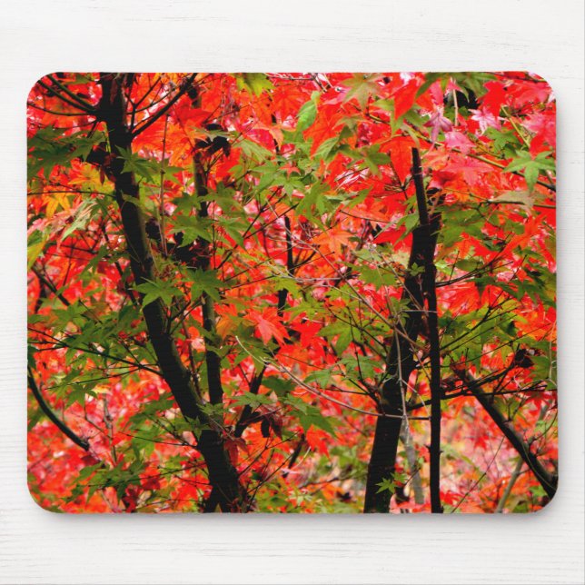 Japanese Maples Mouse Mat (Front)