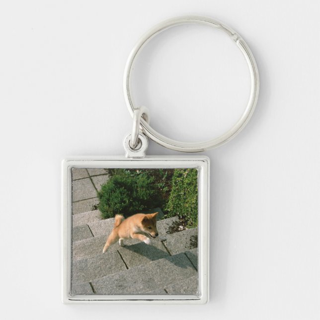 Japanese Midget Shiba 3 Key Ring (Front)